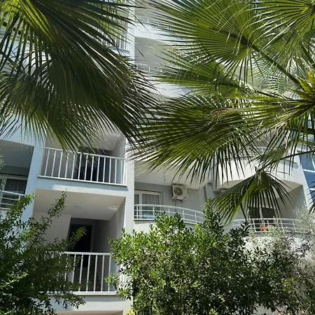 Hotel Bonita Classic & 5*